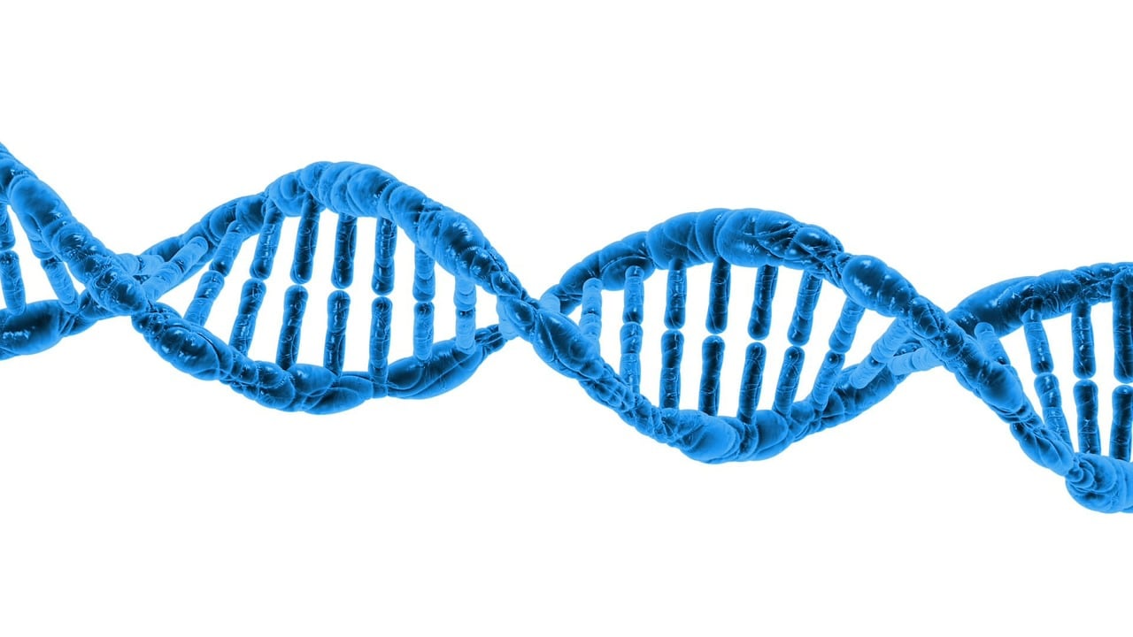 CRISPR-redigerte øyceller ved type 1-diabetes – kan de skjule seg for immunforsvaret?